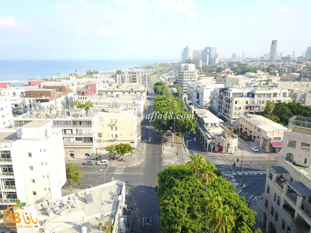 jamal basha tsterre (24).JPG